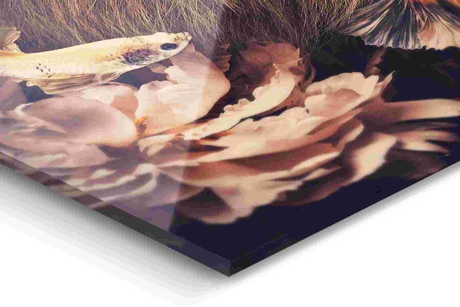 Reinders! Artprint op acrylglas Dschungel-Löwe - Foto 2