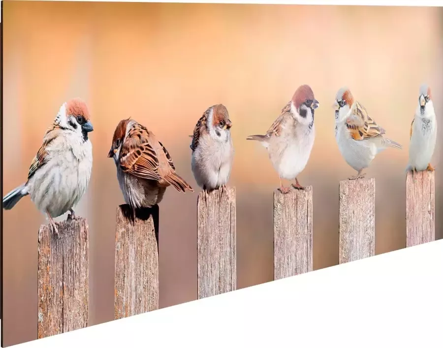 Reinders! Artprint op hout Decoratief paneel 30x90 Bird Family - Foto 4