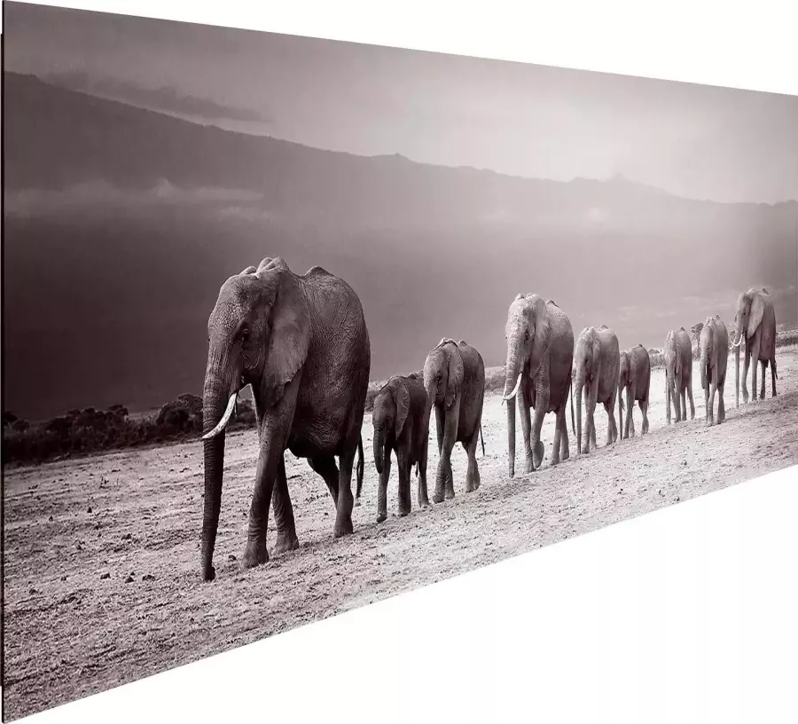 Reinders! Artprint op hout Decoratief paneel 52x156 Line of Elephants - Foto 4