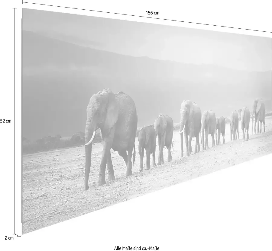 Reinders! Artprint op hout Decoratief paneel 52x156 Line of Elephants - Foto 3