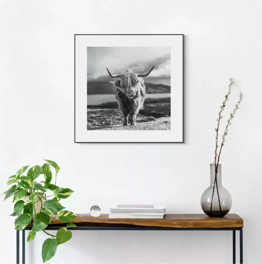 Reinders! Artprint Slim Frame Black 50x50 Highland Cow - Foto 2