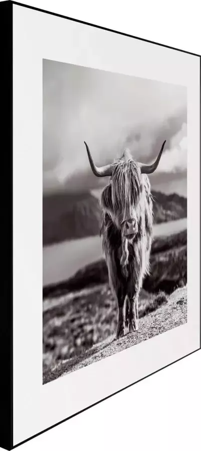 Reinders! Artprint Slim Frame Black 50x50 Highland Cow - Foto 5