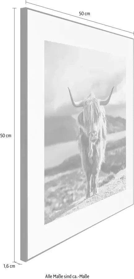 Reinders! Artprint Slim Frame Black 50x50 Highland Cow - Foto 4
