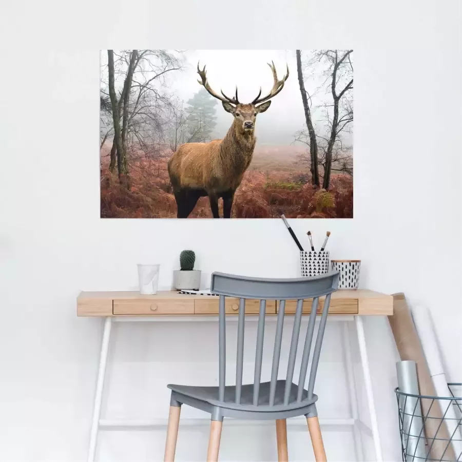 Reinders! Poster Edelhert in het bos