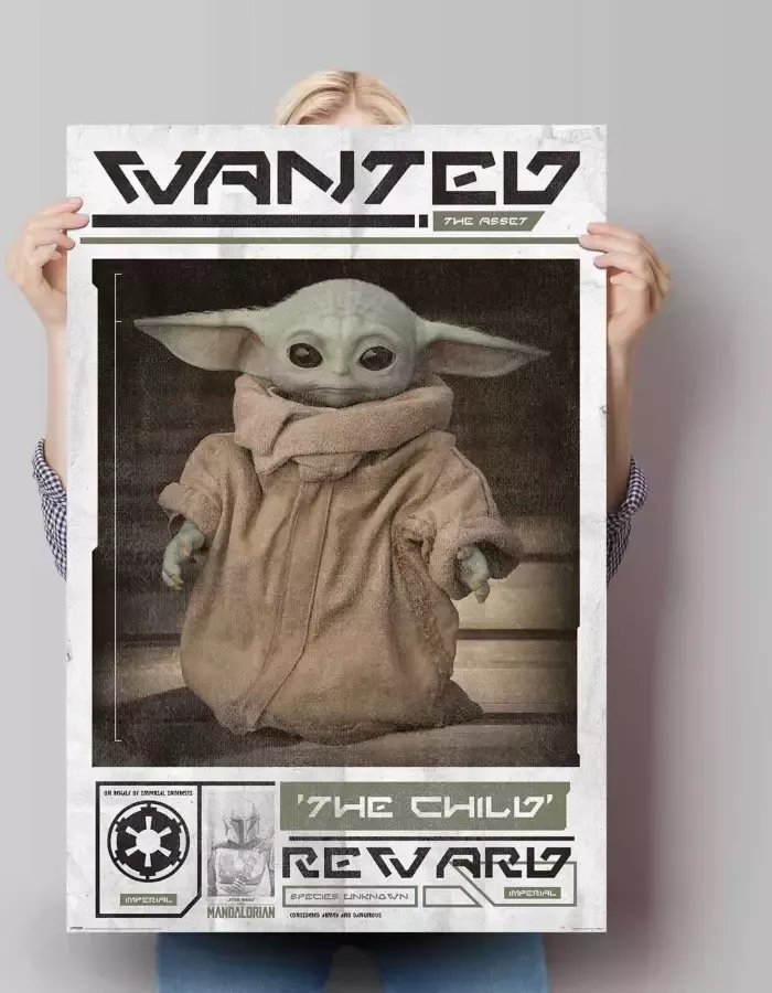 Reinders! Poster Mandalorian baby Yoda The Child - Foto 2