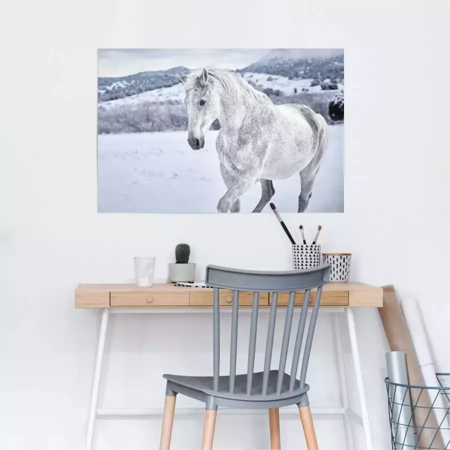 Reinders! Poster Paard in de sneeuw - Foto 1