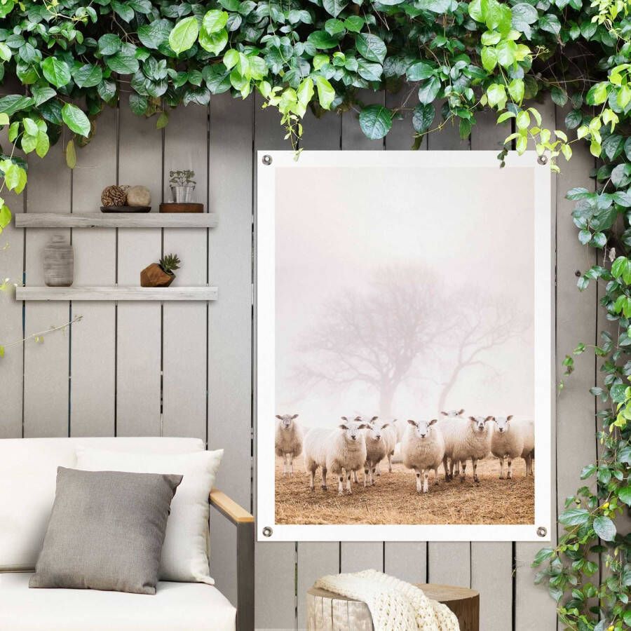 Reinders! Poster Schafe im Nebel - Foto 1