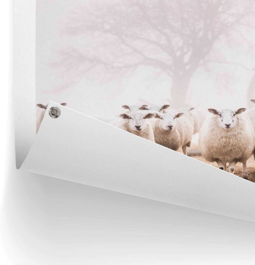 Reinders! Poster Schafe im Nebel - Foto 2