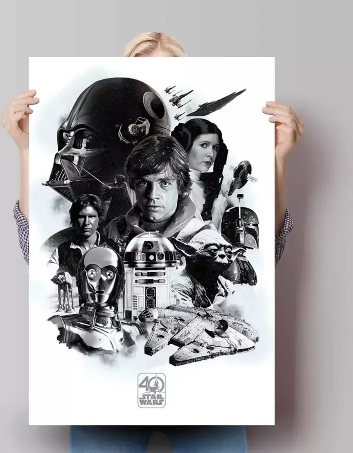 Reinders! Poster Star Wars 40 jaar - Foto 2
