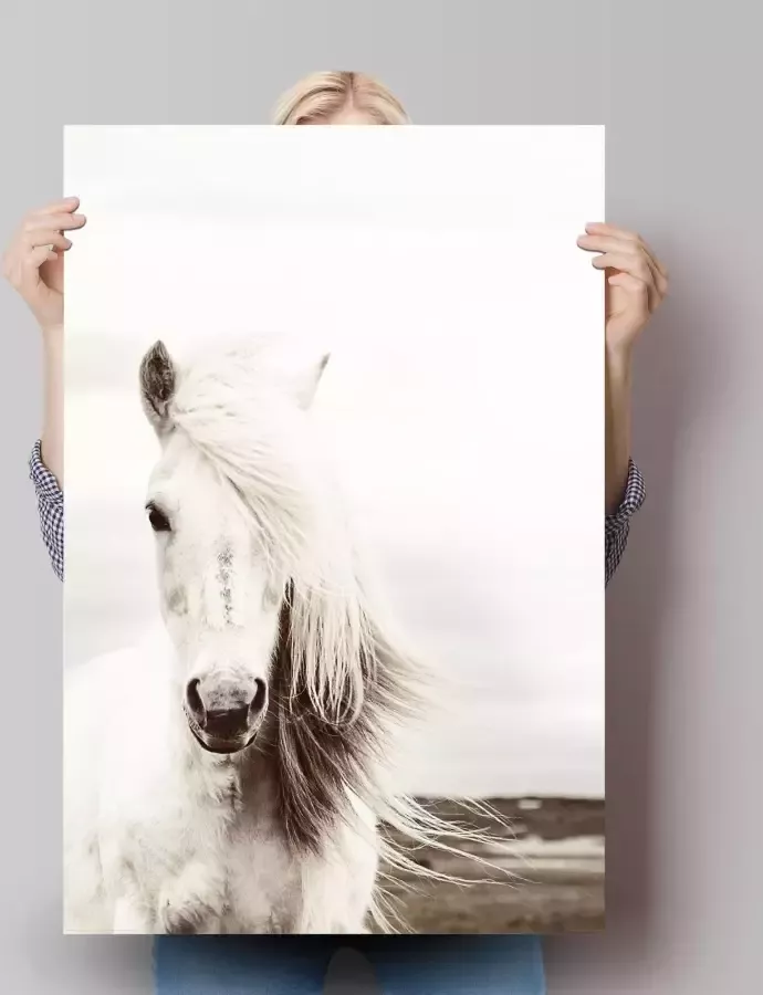 Reinders! Poster wit paard - Foto 2