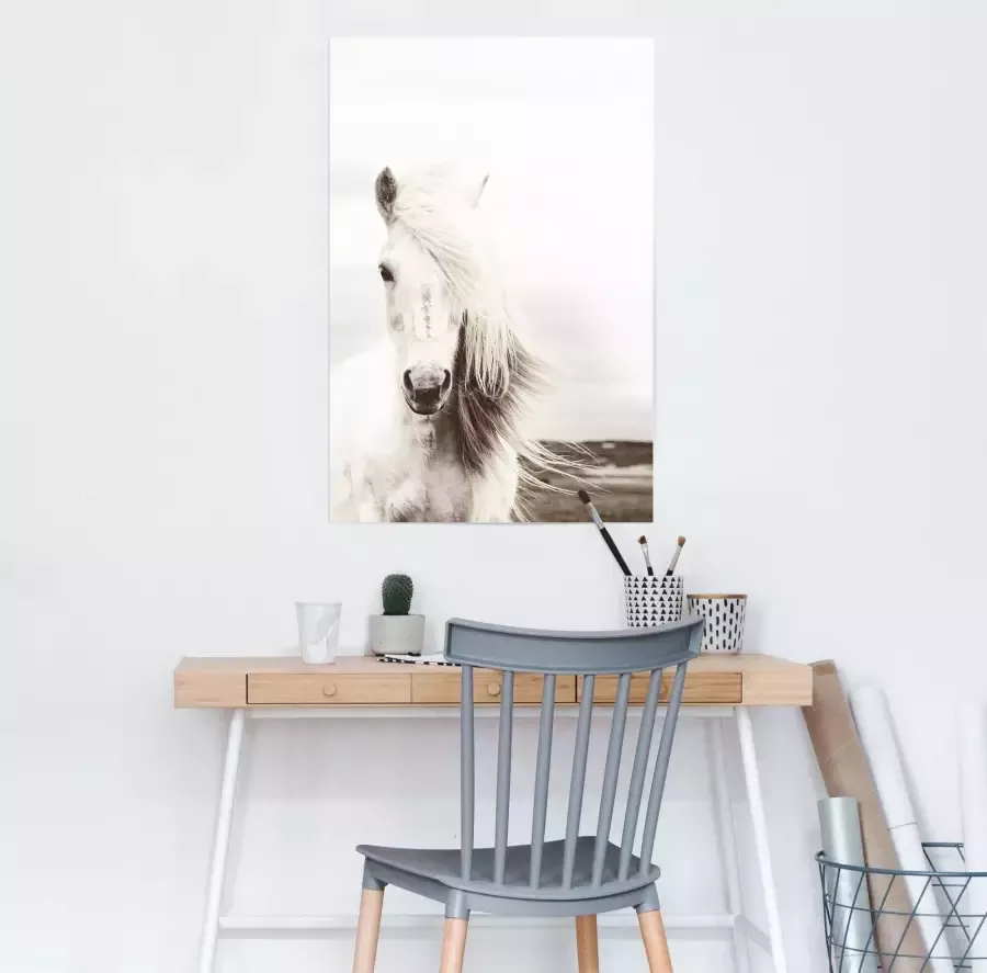 Reinders! Poster wit paard - Foto 1