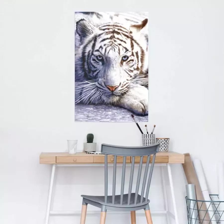 Reinders! Poster Witte tijger - Foto 1