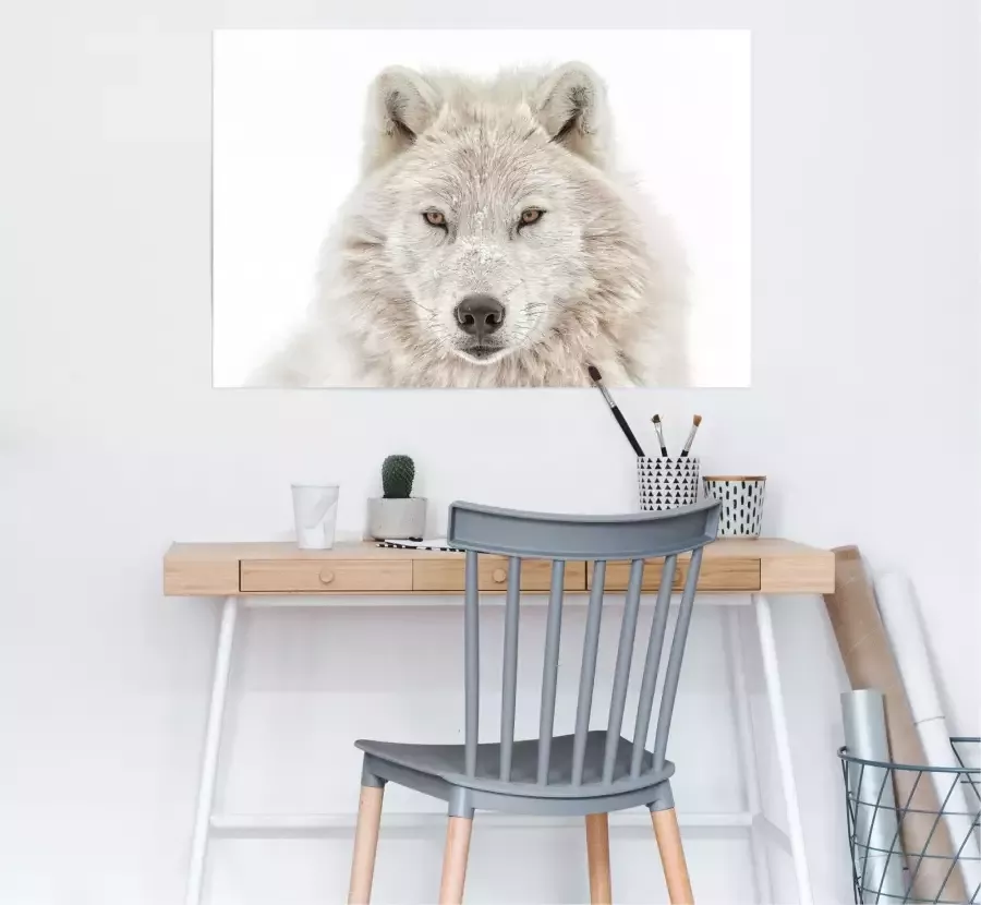 Reinders! Poster Witte wolf - Foto 1