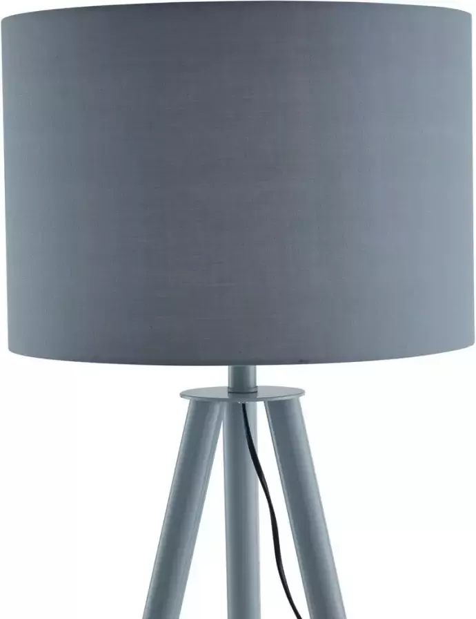SalesFever Staande lamp Dace Driepotig statief Scandinavisch design (1 stuk) - Foto 1