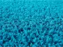 SANAT HALI Hoogpolige loper LOCA Woonkamer lange pool shaggy slaapkamer - Thumbnail 5