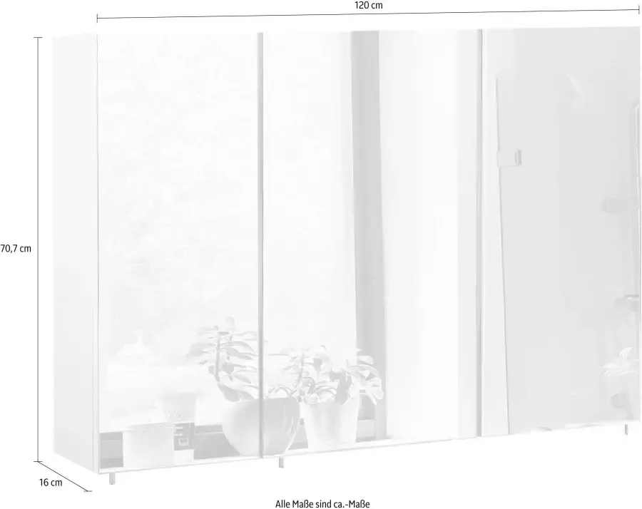 Schildmeyer Spiegelkast Basic Breedte 120 cm 3-deurs glasplateaus Made in Germany