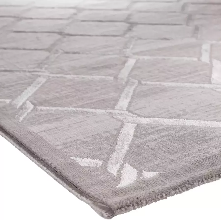 Salery Home Vloerkleed laagpolig vloerkleed antistatisch lichtdicht tpijt grijs 120x170 cm - Foto 5