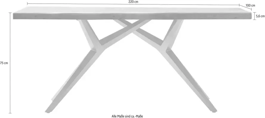 SIT Eettafel Tables met elegant metalen frame shabby chic vintage - Foto 3