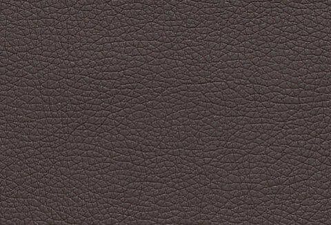 Sit&more Fauteuil Ascara inclusief een comfortabele veerkern - Foto 6