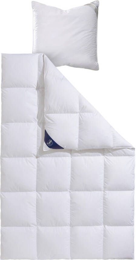 SPESSARTTRAUM Ganzendonzen dekbed + hoofdkussen Premium****** Besparingsset: 4 warmteklassen 135x200 cm & 155x220 cm (voordeelset) - Foto 6