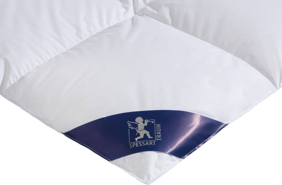 SPESSARTTRAUM Ganzendonzen dekbed + hoofdkussen Premium****** Besparingsset: 4 warmteklassen 135x200 cm & 155x220 cm (voordeelset) - Foto 5