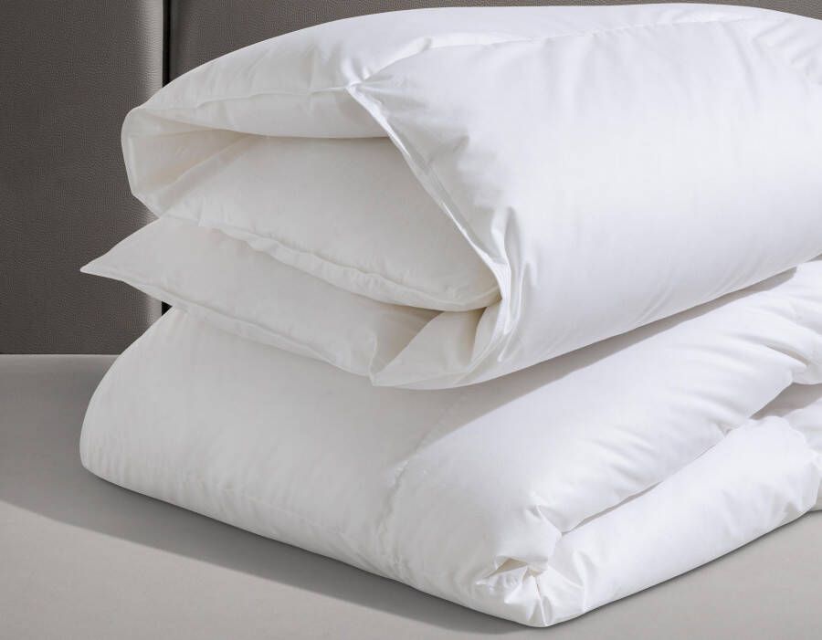 SPESSARTTRAUM Ganzendonzen dekbed + hoofdkussen Premium****** Besparingsset: 4 warmteklassen 135x200 cm & 155x220 cm (voordeelset) - Foto 3