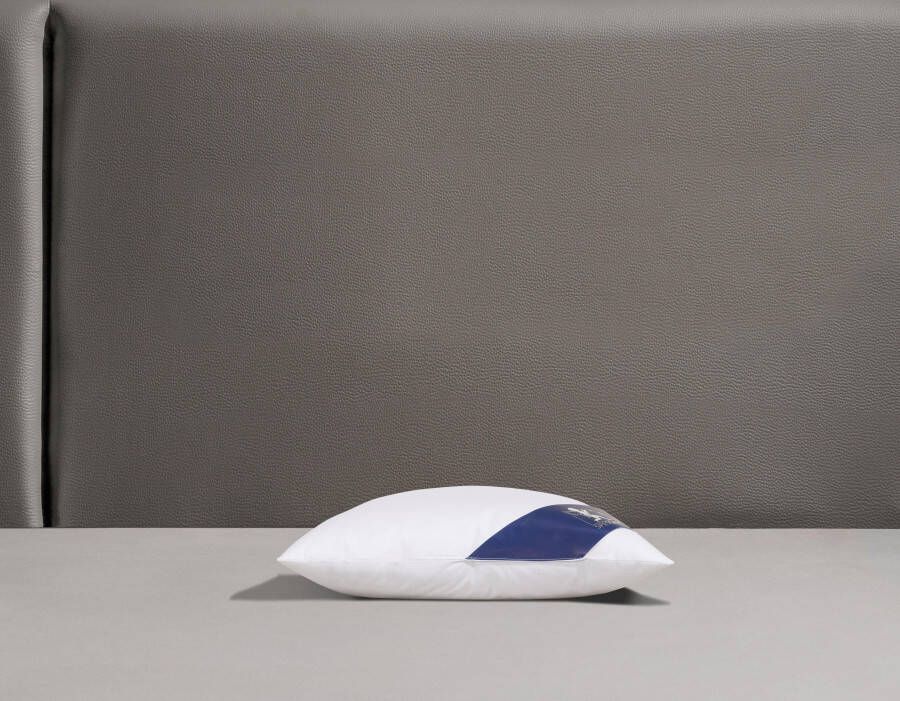 SPESSARTTRAUM Donzen kussen First class Hoofdkussen in verschillende maten verkrijgbaar allergievriendelijk