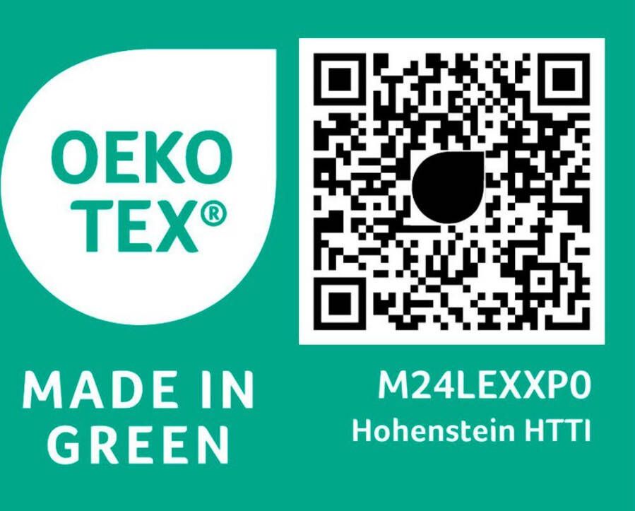 SPESSARTTRAUM Ganzendonzen dekbed + hoofdkussen Premium****** Besparingsset: 4 warmteklassen 135x200 cm & 155x220 cm (voordeelset) - Foto 2