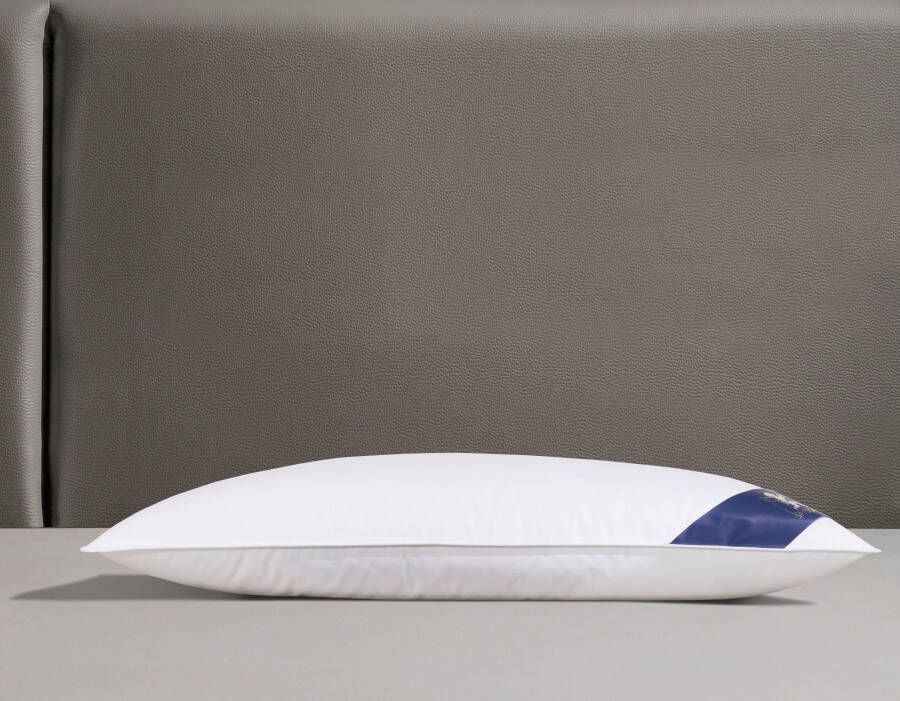 SPESSARTTRAUM Veren kussen Premium****** goede ondersteuning zijslapers & rugslapers