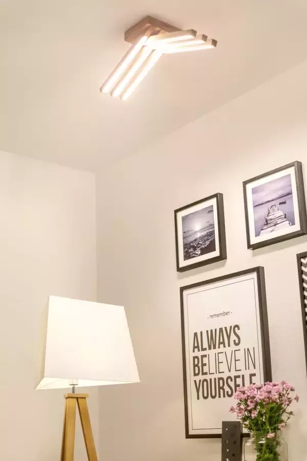 SPOT Light Led-plafondlamp Linus Led plafondlamp