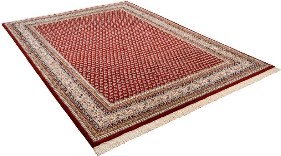 THEKO Oosters tapijt Abbas Meraj Mir zuivere wol met de hand geknoopt met franje - Foto 6