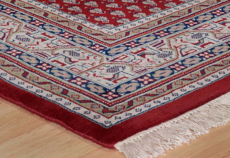 THEKO Oosters tapijt Abbas Meraj Mir zuivere wol met de hand geknoopt met franje - Foto 1