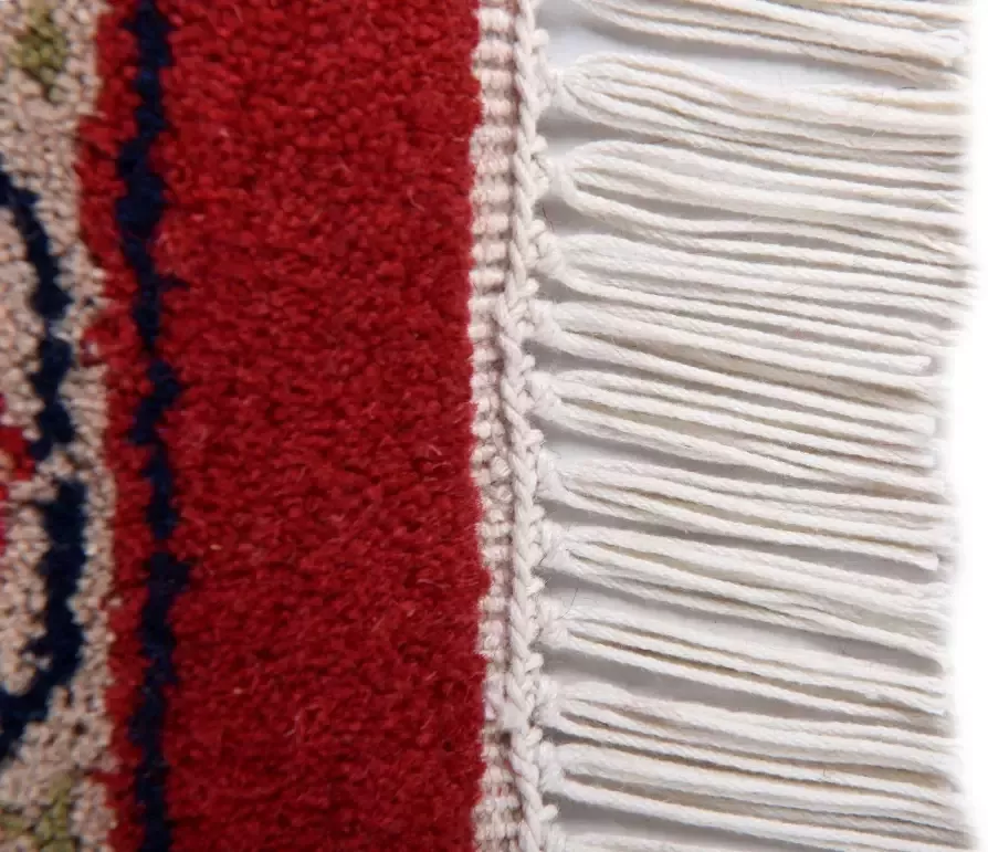 THEKO Oosters tapijt Benares Bidjar zuivere wol met de hand geknoopt met franje - Foto 1