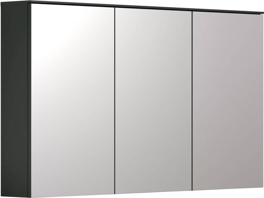 INOSIGN Spiegelkast Premont 120 cm breed 70 cm hoog spiegelkast deuren met soft-closetechniek (1 stuk) - Foto 2