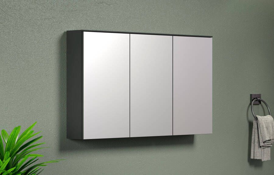 INOSIGN Spiegelkast Premont 120 cm breed 70 cm hoog spiegelkast deuren met soft-closetechniek (1 stuk) - Foto 6