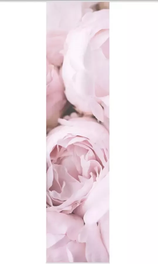 Vision S Paneelgordijn ROSANA HxB: 260x60 BAMBOE LOOK (1 stuk)