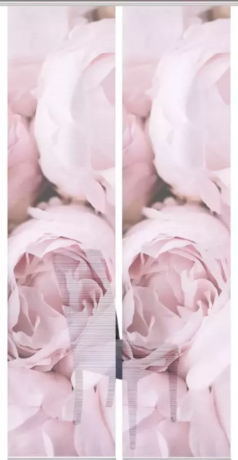 Vision S Paneelgordijn ROSANA set van 2 Bamboe-look digitaal bedrukt (2 stuks) - Foto 4