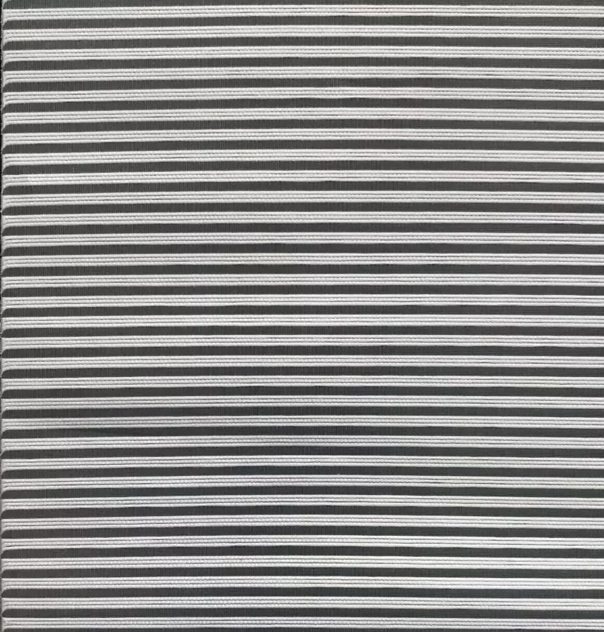 Vision S Paneelgordijn SET VAN 2 CRESTON HxB: 260x60 paneelgordijn (2 stuks)