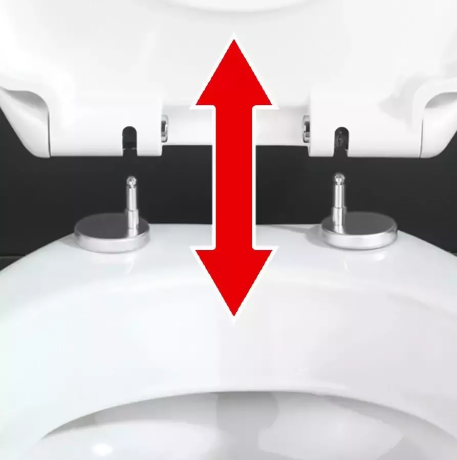 Wenko Toiletzitting Ottana Met soft-closemechanisme