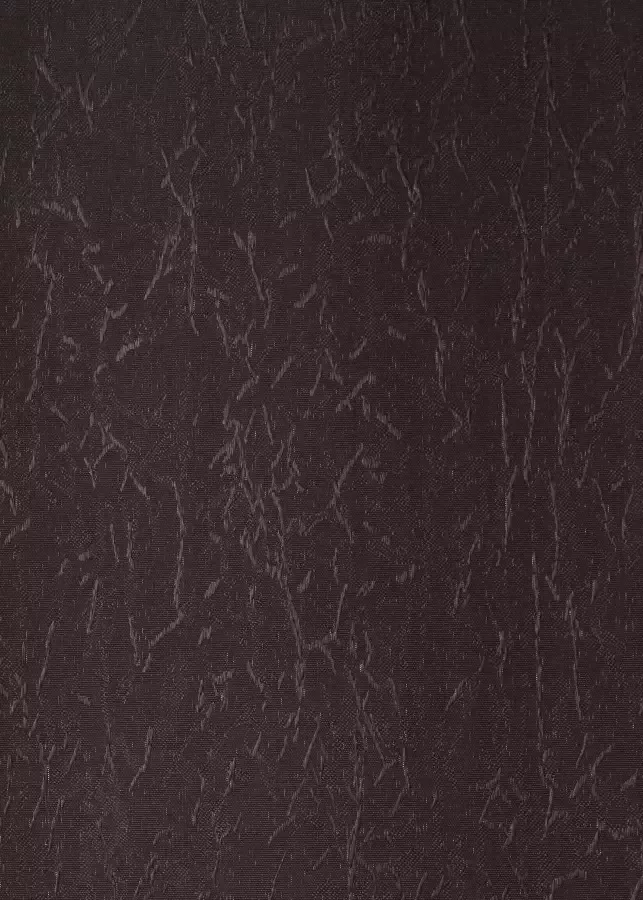 Wirth Gordijn Lahnstein (2 stuks) - Foto 2