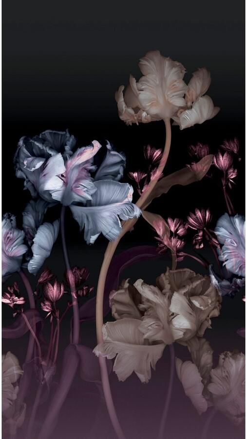 Fashion for walls Fotobehang Vanda Ftalaten vrij - Foto 3