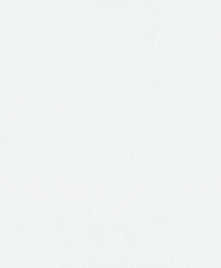 Fashion for walls Vliesbehang 10 05 x 0 53m effen - Foto 4