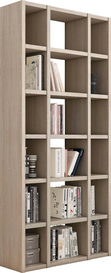 Home24 Boekenkast Emporior XV loftscape - Foto 4