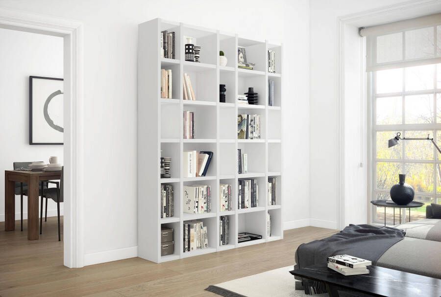 Home24 Boekenkast Emporior XV loftscape - Foto 4