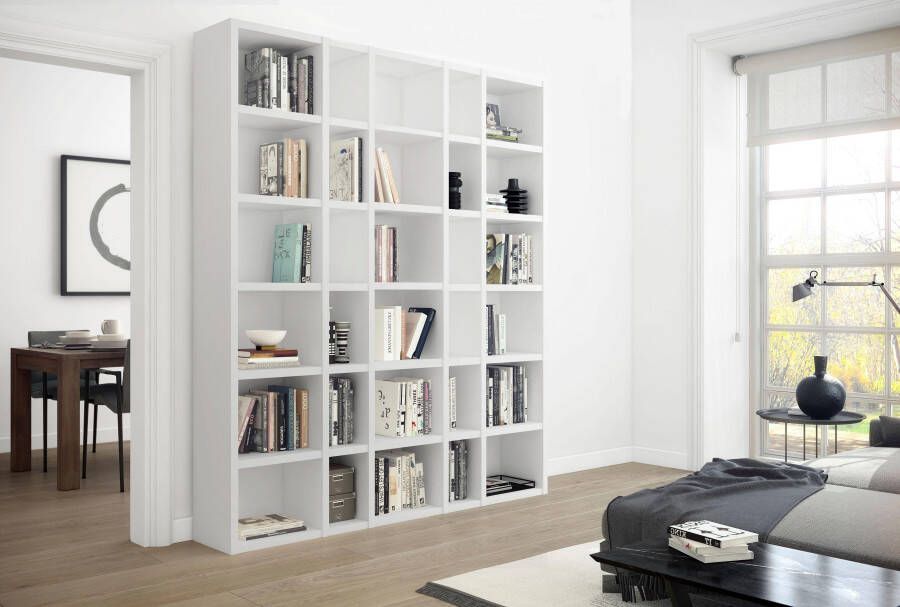 Home24 Boekenkast Emporior IX loftscape - Foto 4