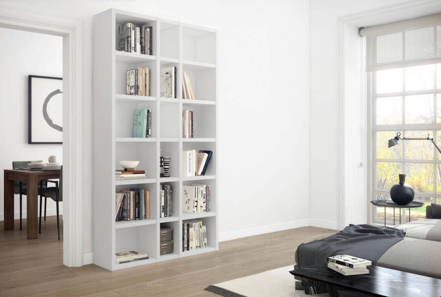 Home24 Boekenkast Emporior IX loftscape - Foto 4