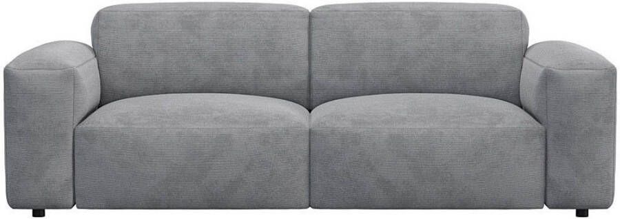 FLEXLUX 2 5-zitsbank Lucera Sofa modern & gezellig koudschuim stalen nosagvering