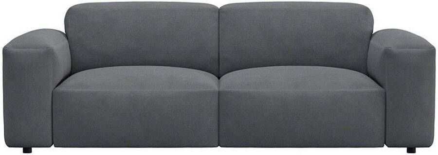 FLEXLUX 2 5-zitsbank Lucera Sofa modern & gezellig koudschuim stalen nosagvering