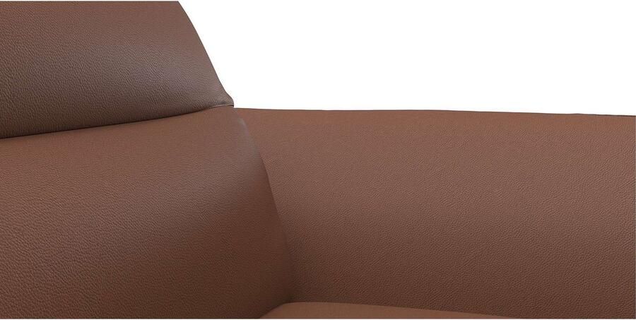 FLEXLUX 2 5-zits Salino functie-sofa relaxsofa Bank met arm- en hoofdeinde verstellingen koudschuim & staalgolven