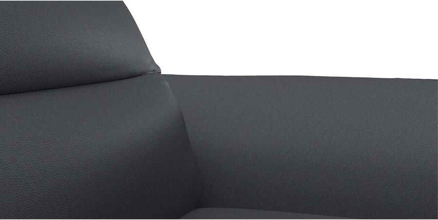 FLEXLUX 2 5-zits Salino functie-sofa relaxsofa Bank met arm- en hoofdeinde verstellingen koudschuim & staalgolven